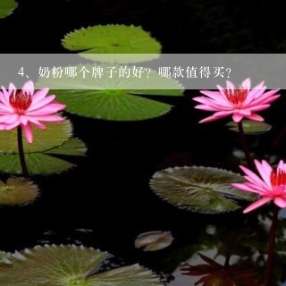 奶粉哪个牌子的好？哪款值得买？