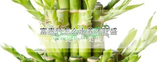 哪个省给北京提供肉类蔬菜