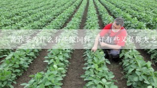 苦荞茶为什么有些像饲料一样有些又是像大芝麻样呢？