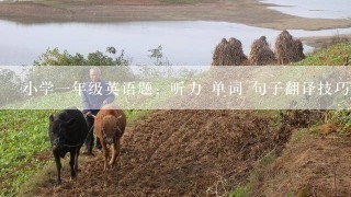 小学一年级英语题：听力 单词 句子翻译技巧