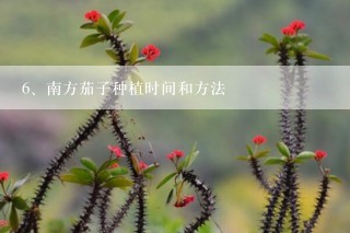 南方茄子种植时间和方法