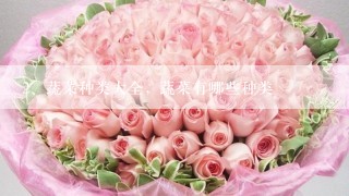 蔬菜种类大全, 蔬菜有哪些种类