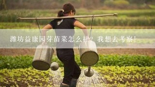 潍坊益康园芽苗菜怎么样？我想去考察！