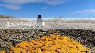 蔬菜物价局怎么标准