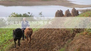 中国烹饪杂志2012哪里买