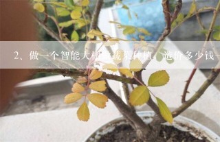 做一个智能大棚做蔬菜种植，造价多少钱一平方？