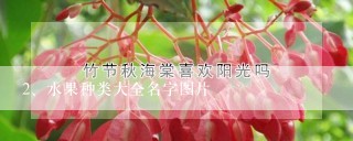 水果种类大全名字图片