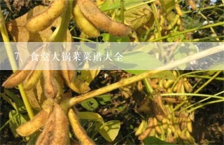 食堂大锅菜菜谱大全