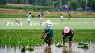 我想卖菜，请问如何定菜价