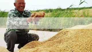 猪场化粪池怎么建？