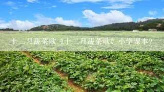 十二月蔬菜歌《十二月蔬菜歌》小学课本？