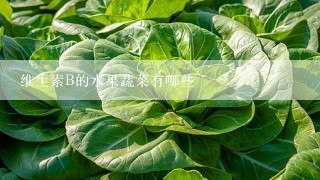 维生素B的水果蔬菜有哪些