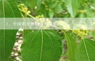 中国农业种植技术网是什么？