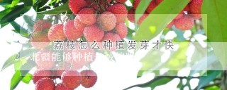 北疆能够种植长绒棉吗