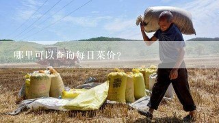 哪里可以查询每日菜价？