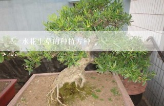 水花生草的种植方种