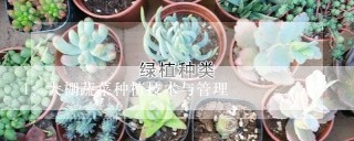 大棚蔬菜种植技术与管理