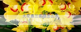 100种蔬菜水果简笔画图片