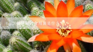 20种常见的食用菌是什么?