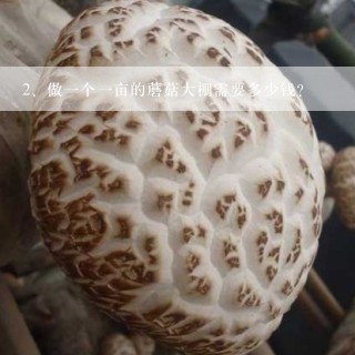 做一个一亩的蘑菇大棚需要多少钱？