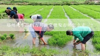 郑州火车站到万邦蔬菜批发市场怎么走‘？