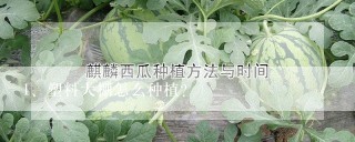 塑料大棚怎么种植？