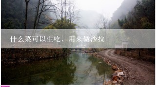 什么菜可以生吃，用来做沙拉