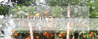 好吃的家常菜100样