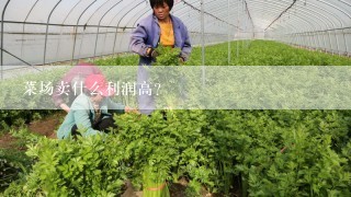 菜场卖什么利润高？