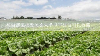 想做蔬菜批发怎么入手以下建议可以收藏