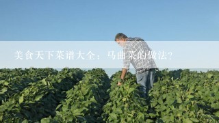 美食天下菜谱大全：马曲菜的做法？