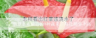 胡萝卜素最高的8种蔬菜，都比胡萝卜高，要多给家人