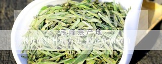 荆芥最佳种植方法 荆芥如何种植