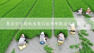 英语中牛奶和水果后面用单数还是复数