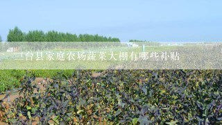三台县家庭农场蔬菜大棚有哪些补贴
