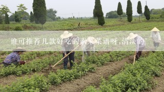 谁可推荐几款好吃的素菜菜谱呀,清淡的~