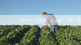 🌺英语中“火龙果”怎么说？还有“巴婆果”🎃