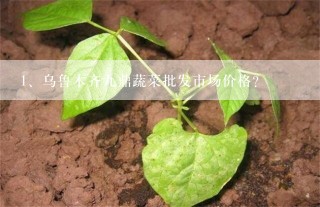 乌鲁木齐九鼎蔬菜批发市场价格？