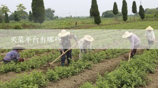 买菜平台有哪些