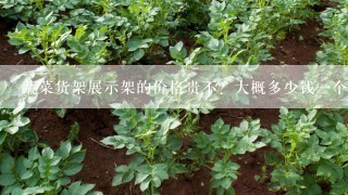 蔬菜货架展示架的价格贵不？大概多少钱一个？