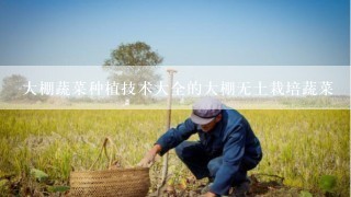 大棚蔬菜种植技术大全的大棚无土栽培蔬菜