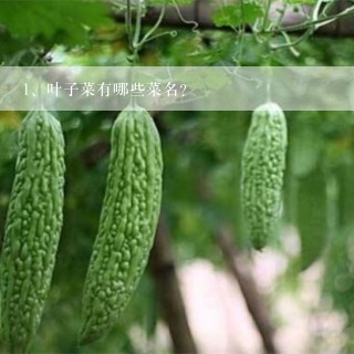 叶子菜有哪些菜名？