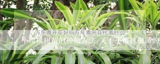 小樱桃树苗的种植方法 关于小樱桃树苗的种植方法介