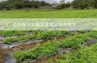 长沙海吉星蔬菜批发市场在哪里