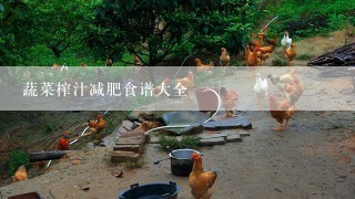 蔬菜榨汁减肥食谱大全