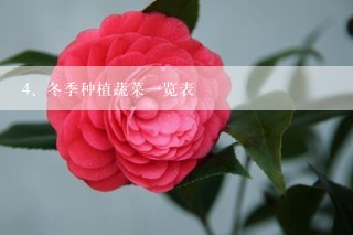 冬季种植蔬菜一览表