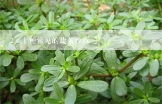 十种常见的蔬菜沙拉