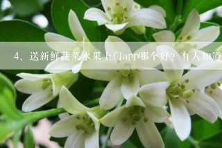 送新鲜蔬菜水果上门app哪个好？有人知道吗