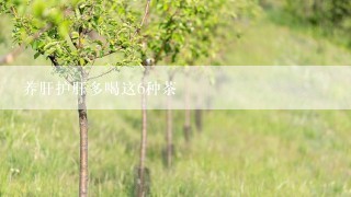 养肝护肝多喝这6种茶