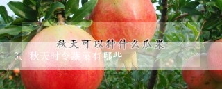 秋天时令蔬菜有哪些